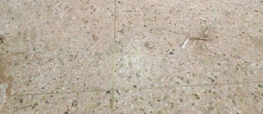 学校水磨石地面铺设pvc地板胶解决方案