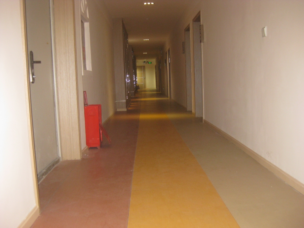 广汉蜀广商务宾馆石塑地板工程